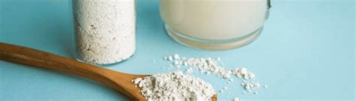 What pests does diatomaceous earth kill?