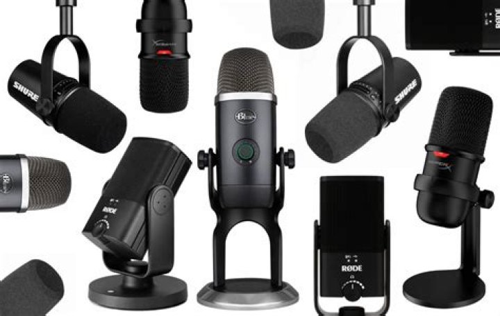 What was the microphone used for?
