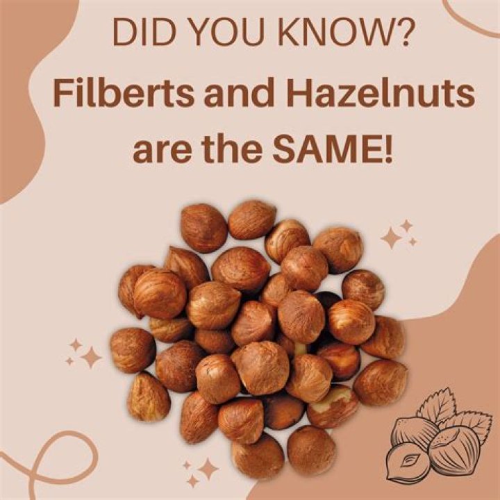 When did filberts become hazelnuts