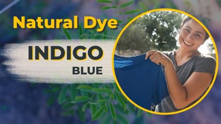 When was IndiGo started?
