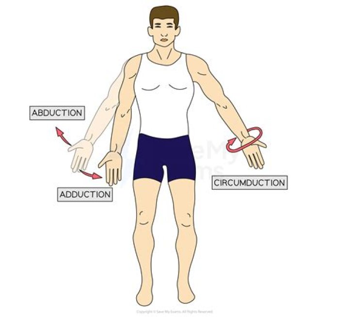 Where can both Circumduction and rotation occur?