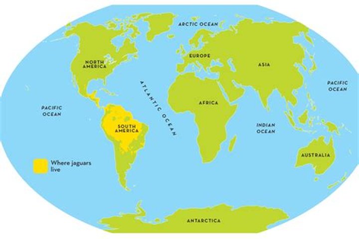 Where can Melinjo be found?