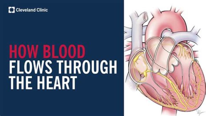 Where does the phrase know it by heart come from?