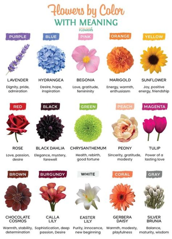 Which flowers are used to make Colours?