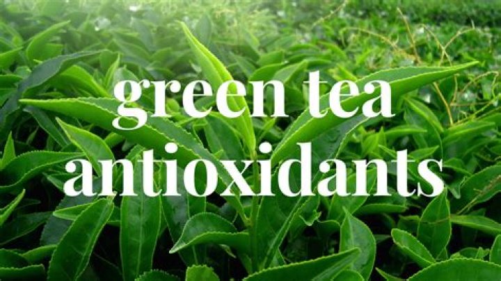 Which green tea has the most antioxidants?