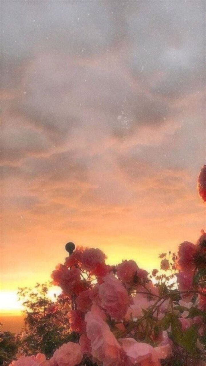 Which is the best Tumblr background and wallpaper collection?
