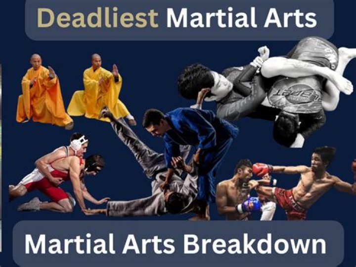 Who is the deadliest martial artist?