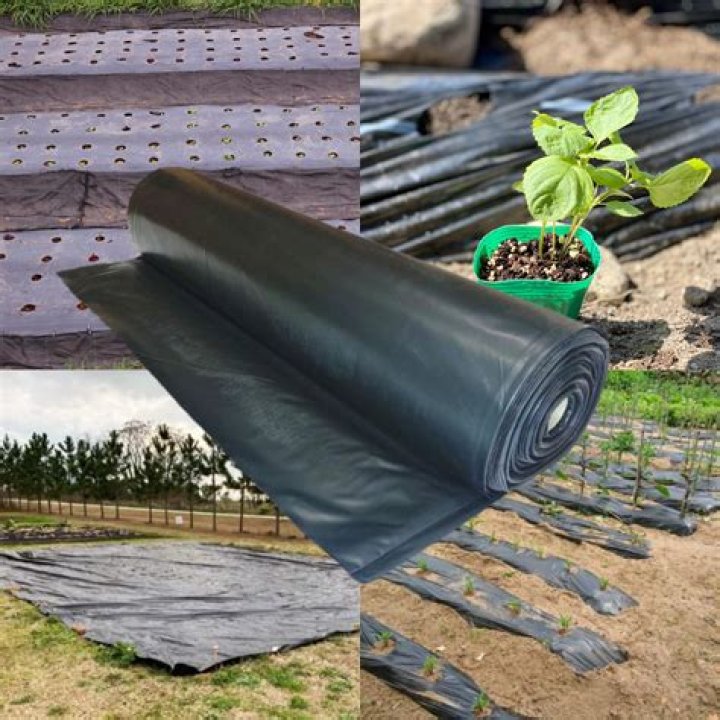 Why do farmers put plastic on fields?