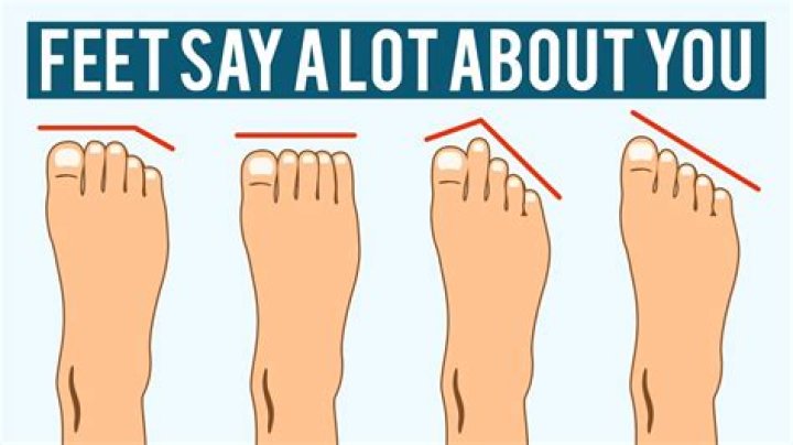 Why do we have toes?
