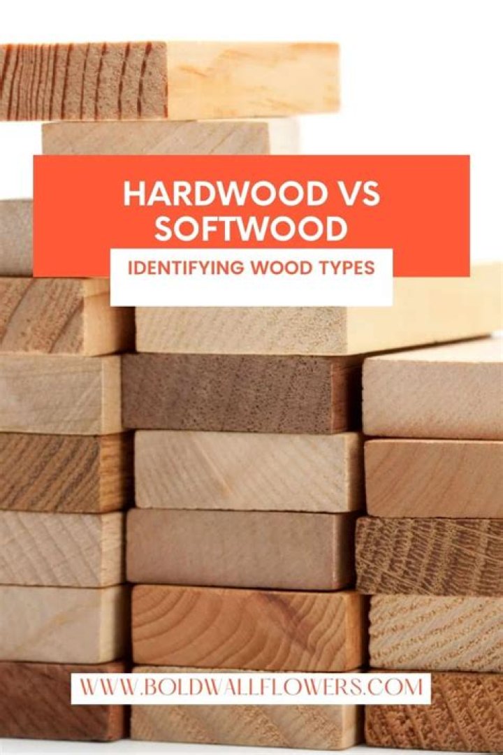 Why is softwood better than hardwood?