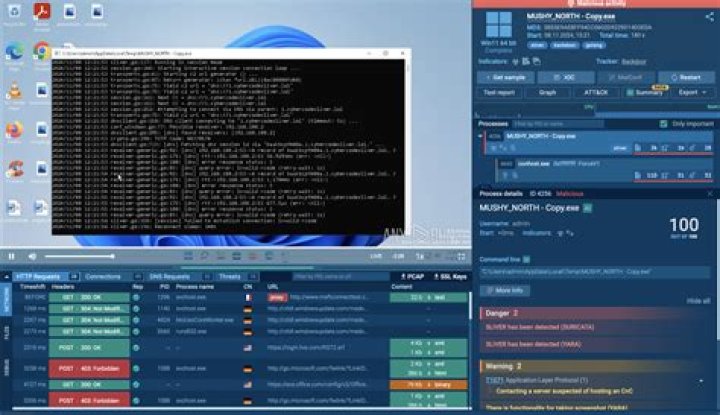 Win32/Spy.Socelars.S