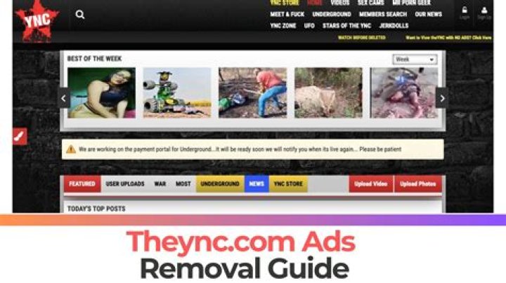 Wmhgqg Ads Removal Guide — How to Fix It?